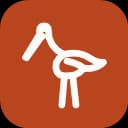 SilentStork